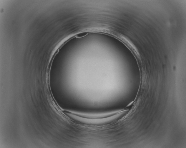 X0000086071340200704091225