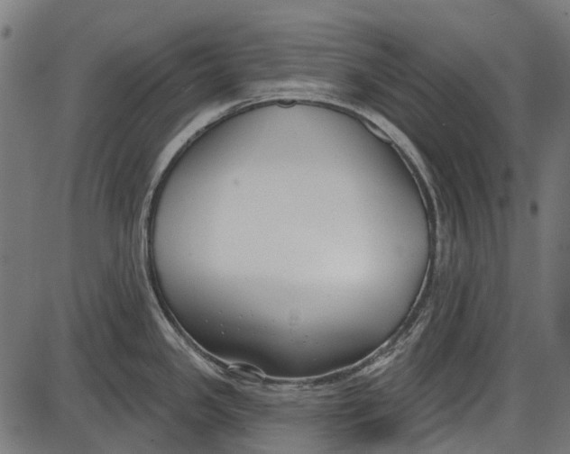 X0000086071341200704091225