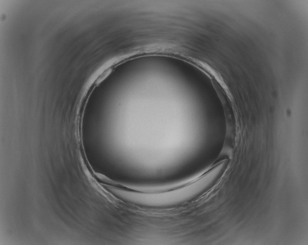 X0000086071342200704091225