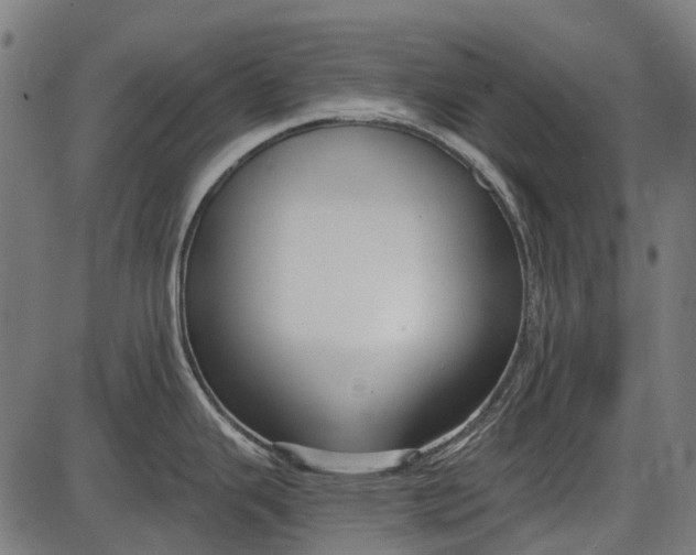 X0000086071343200704091225