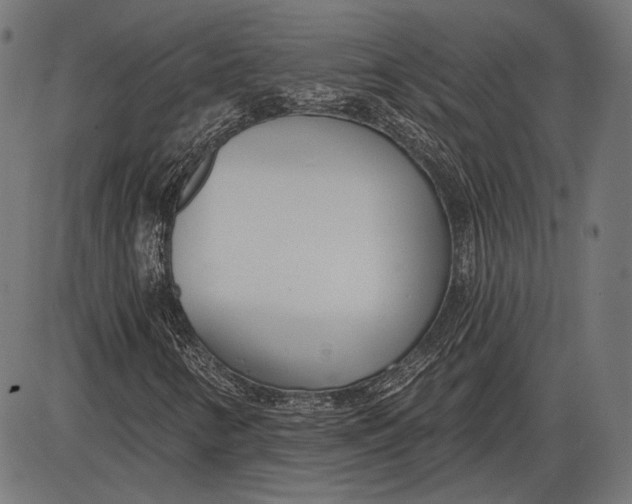 X0000086071346200704091225
