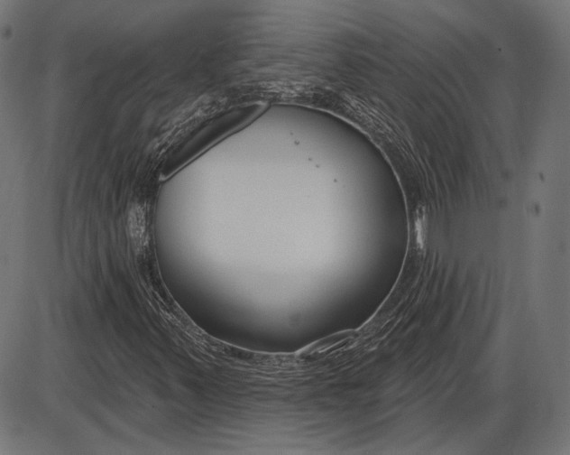 X0000086071347200704091225