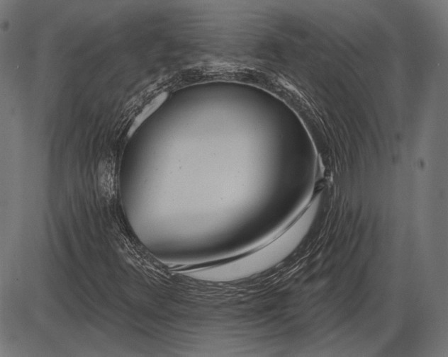 X0000086071348200704091225