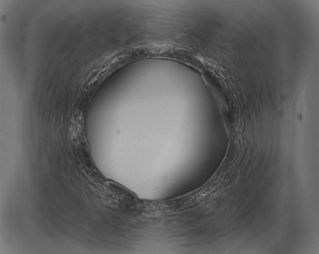 X0000086071349200704091225
