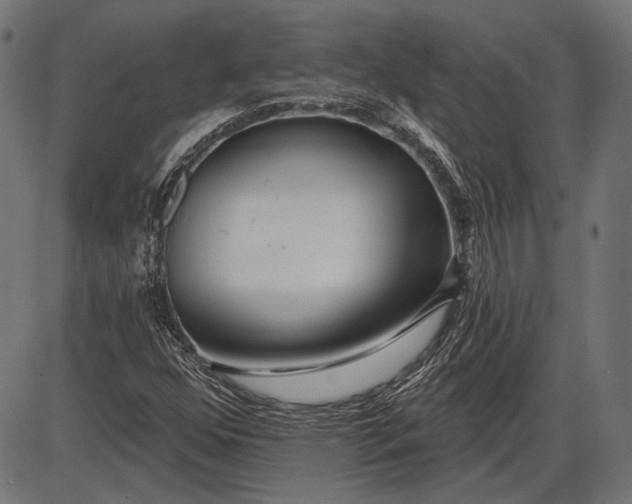 X0000086071352200704091225