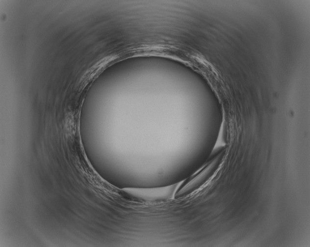 X0000086071353200704091225