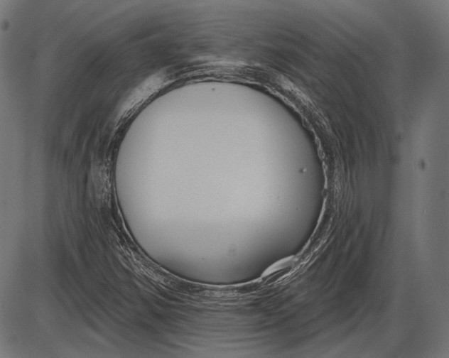 X0000086071354200704091225