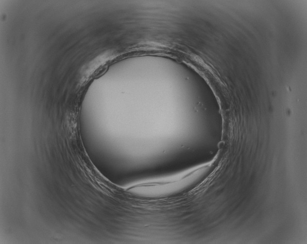 X0000086071355200704091224