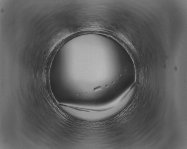 X0000086071356200704091224