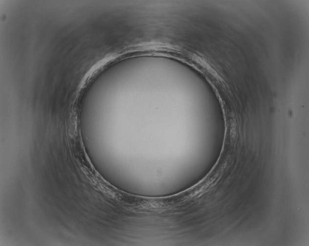 X0000086071358200704091224