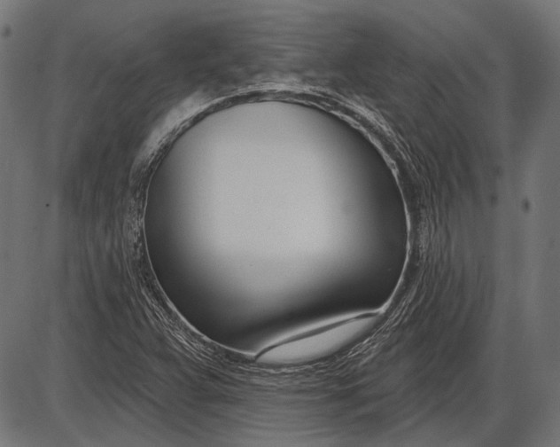 X0000086071359200704091224