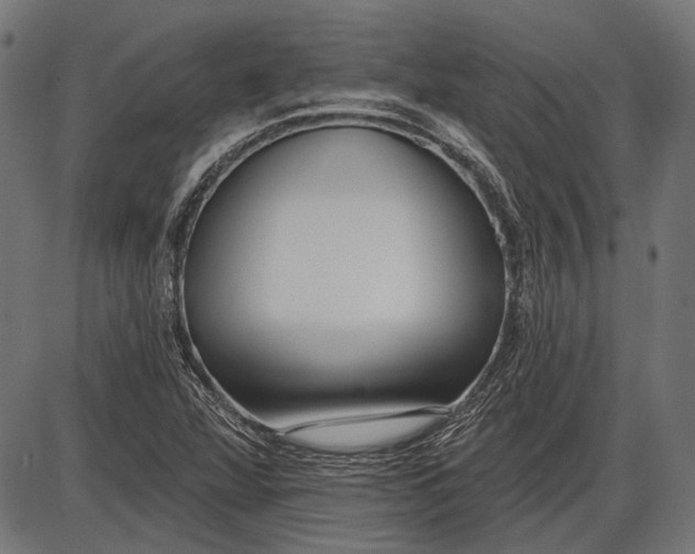 X0000086071360200704091224