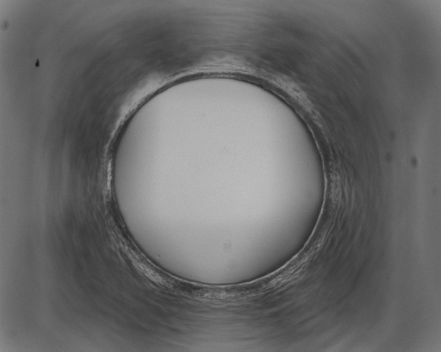 X0000086071366200704091224