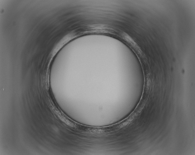 X0000086071370200704091224