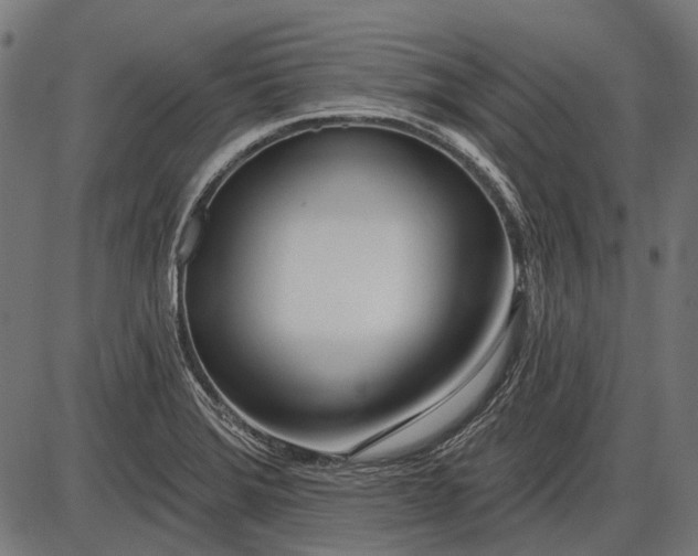X0000086071372200704091224