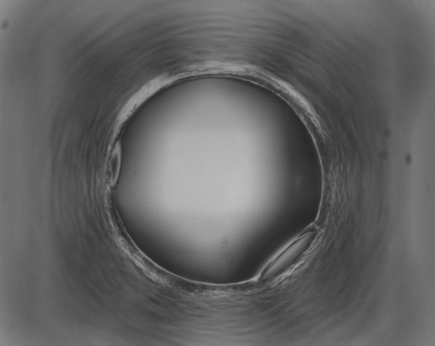 X0000086071373200704091224