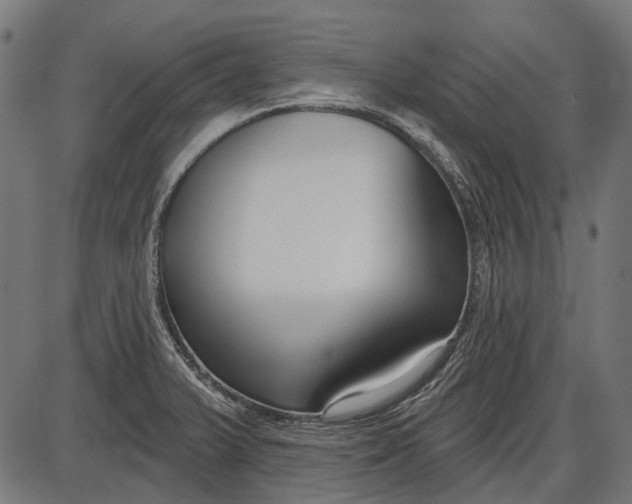 X0000086071375200704091224