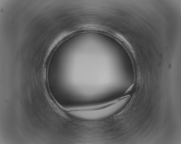 X0000086071376200704091224