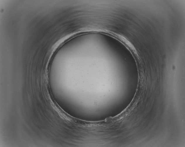 X0000086071380200704091224