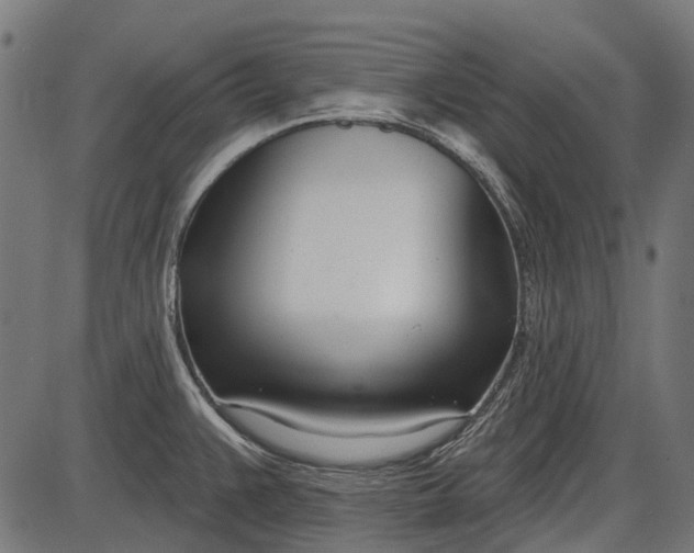 X0000086071383200704091224