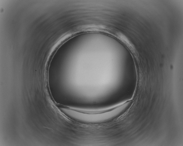 X0000086071384200704091224