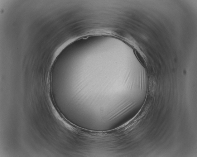 X0000086071387200704091224