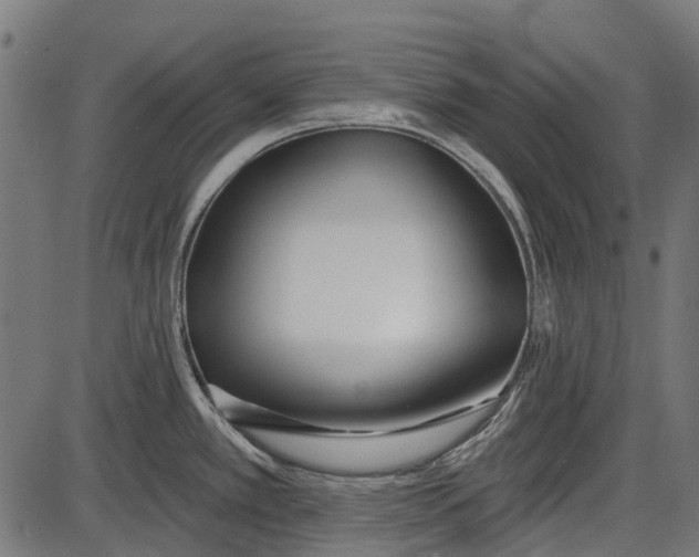 X0000086071389200704091224