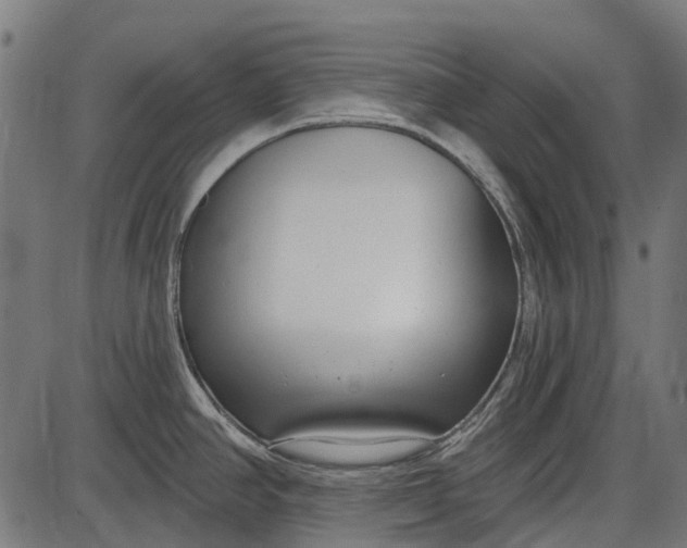 X0000086071390200704091224