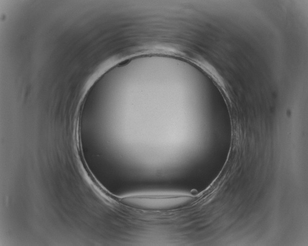 X0000086071391200704091224