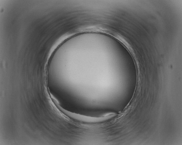 X0000086071392200704091224