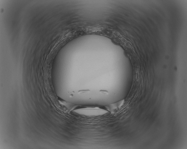 X0000086071393200704091223