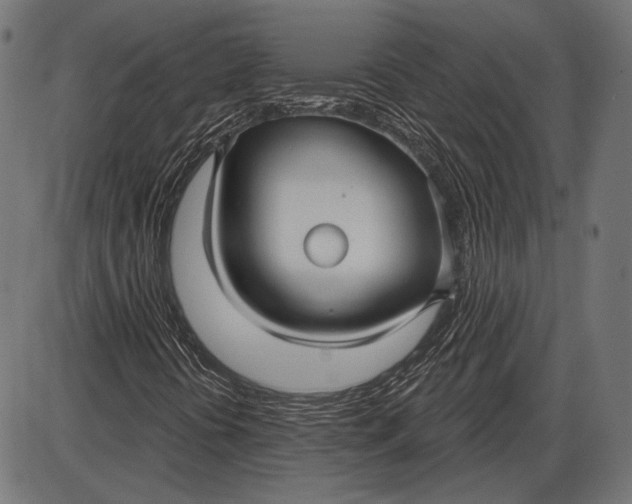 X0000086071394200704091223