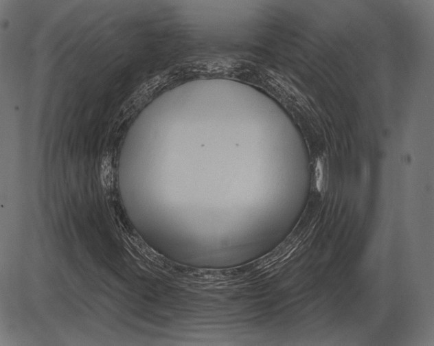 X0000086071395200704091223
