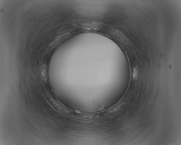 X0000086071396200704091223