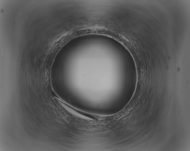 X0000086071398200704091223
