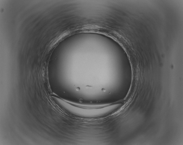 X0000086071401200704091223