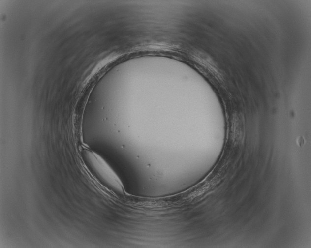 X0000086071404200704091223