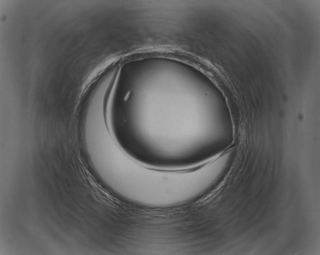 X0000086071406200704091223