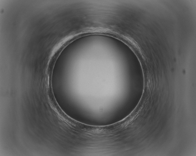 X0000086071414200704091223