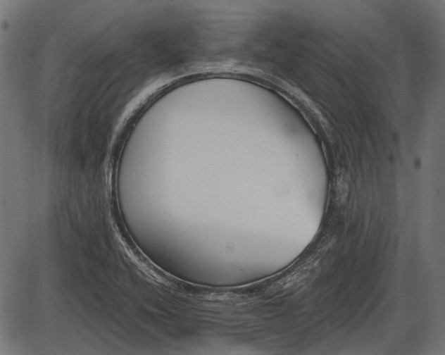 X0000086071416200704091223