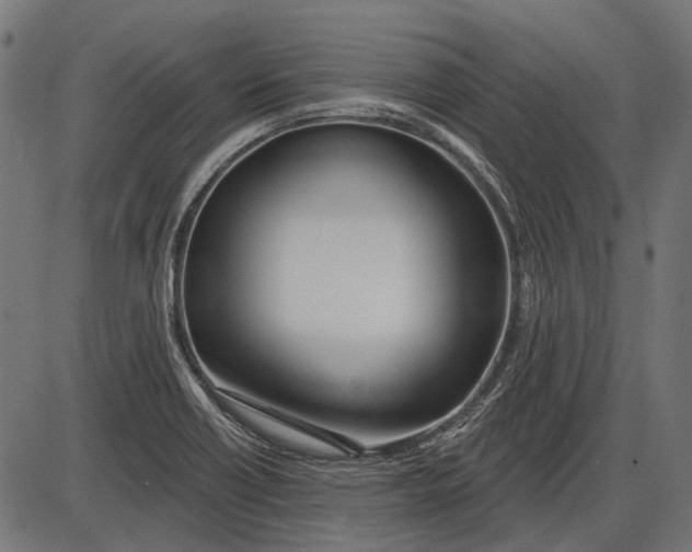 X0000086071418200704091223