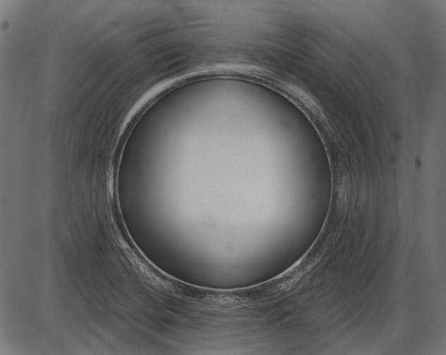 X0000086071420200704091224