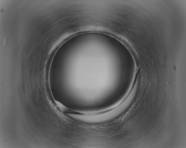 X0000086071422200704091224