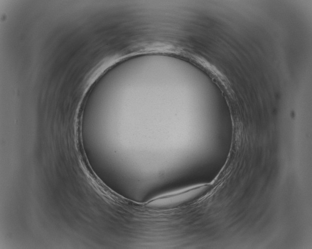 X0000086071423200704091224