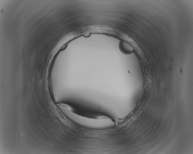 X0000086071427200704091224