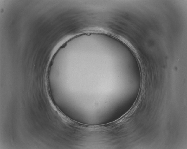 X0000086071440200704091224