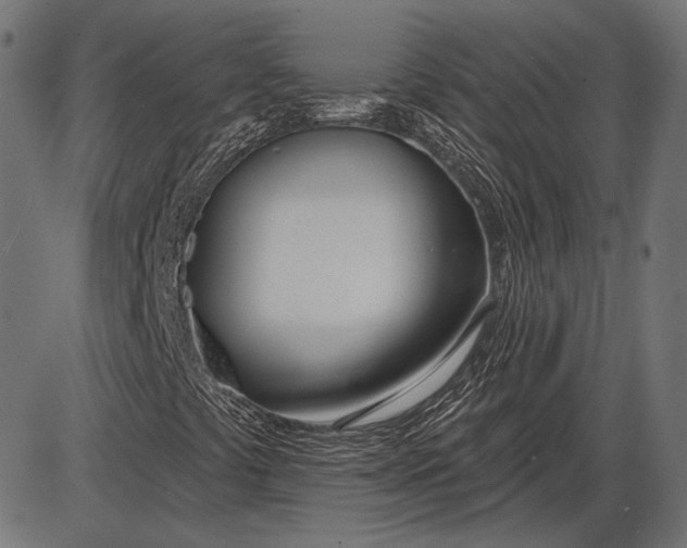 X0000086071441200704091223