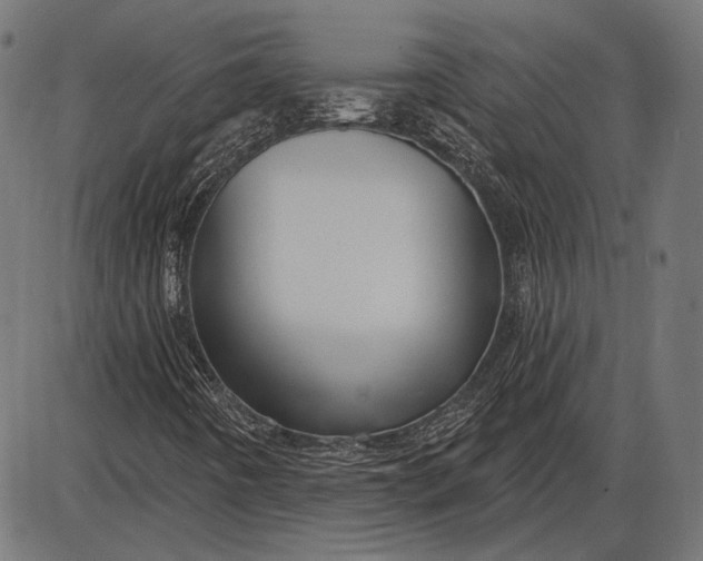 X0000086071442200704091223