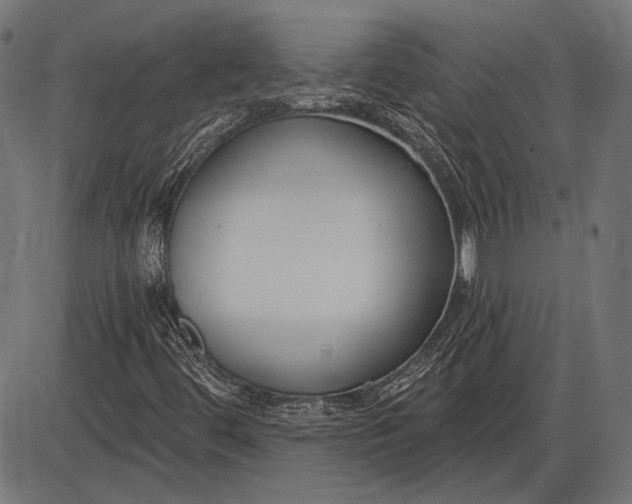 X0000086071444200704091223