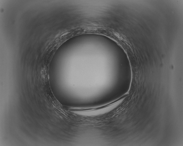 X0000086071445200704091223